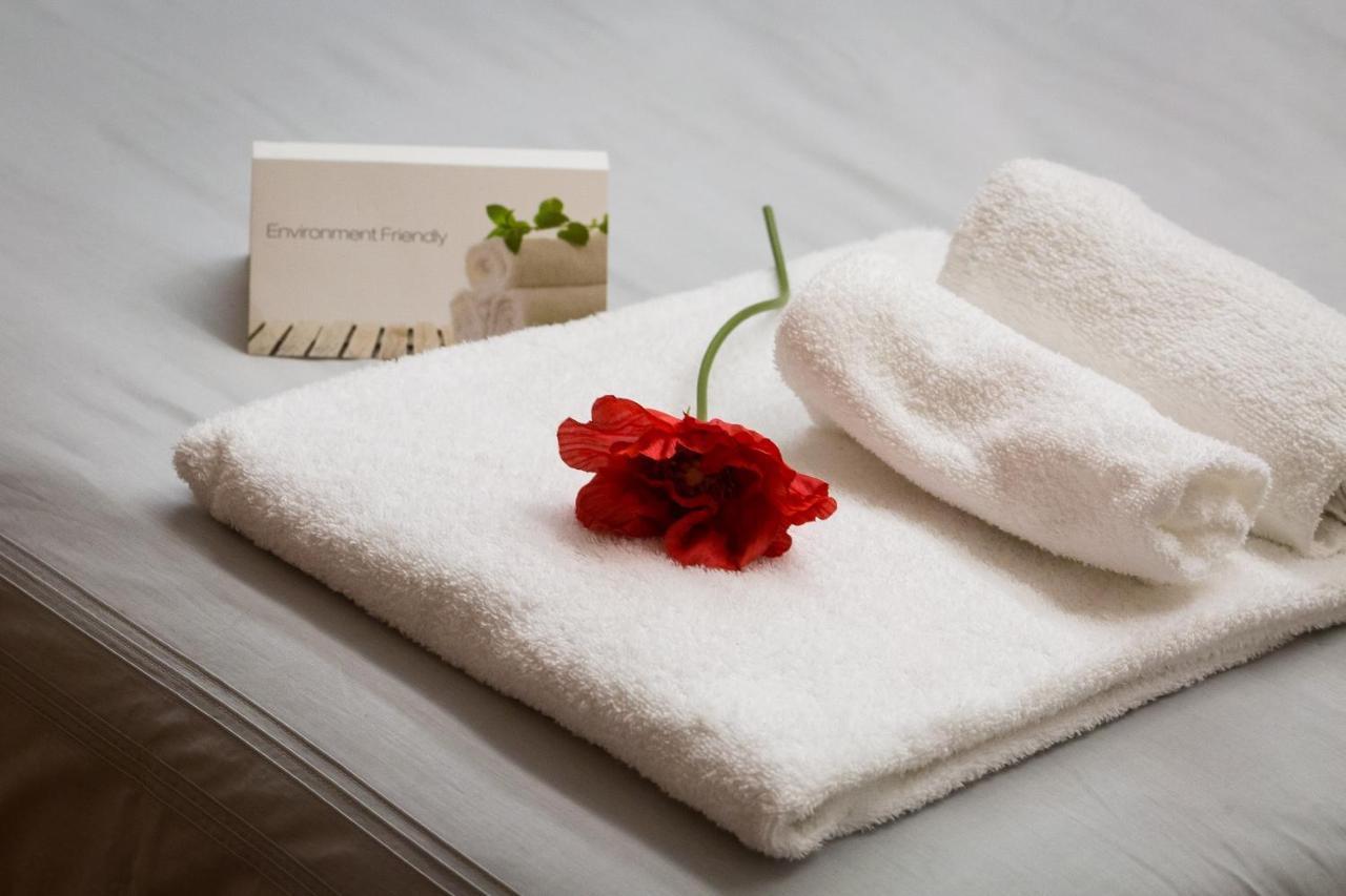 Filomena Arthouse Bed and breakfast Roma